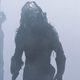 Image for article titled Prey Is the Best and Most Intimate Predator Movie in Years